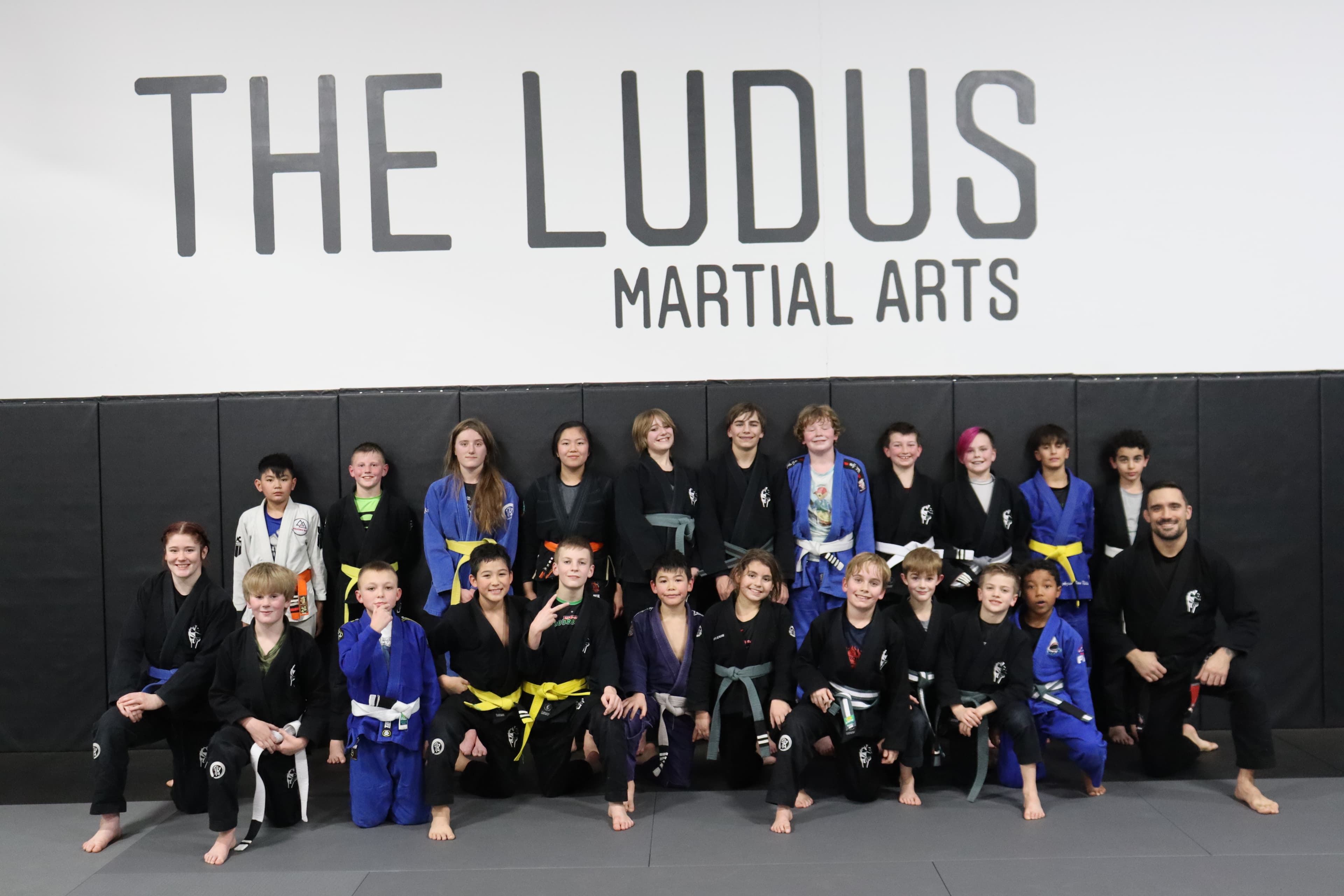 Main image of The Ludus Martial Arts Academy