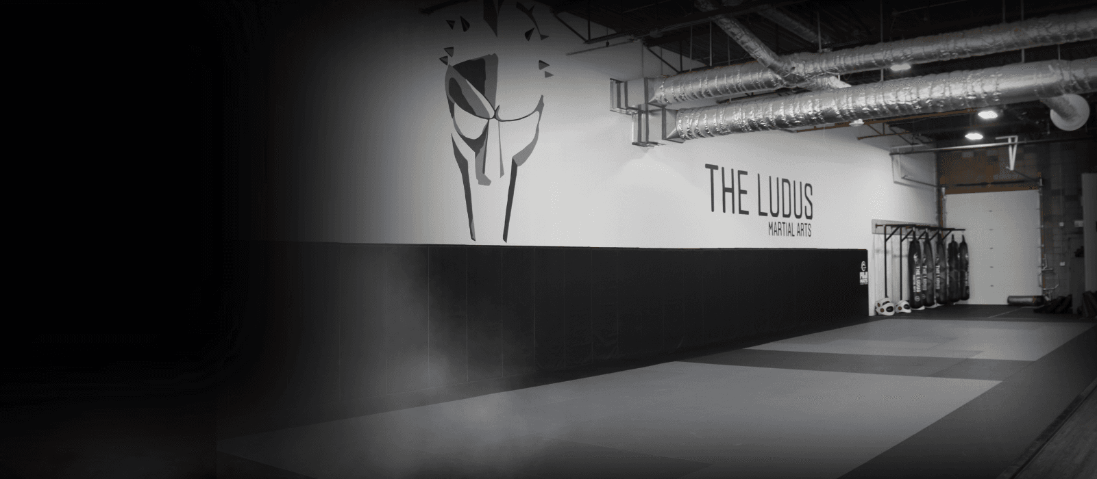 The Ludus Martial Arts Academy logo