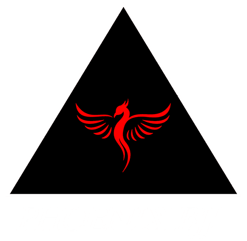 Phoenix BJJ Brazilian Jiu Jitsu Martial Arts School logo