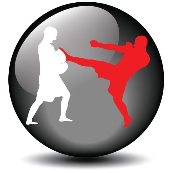 Checkered Past MMA Gym logo