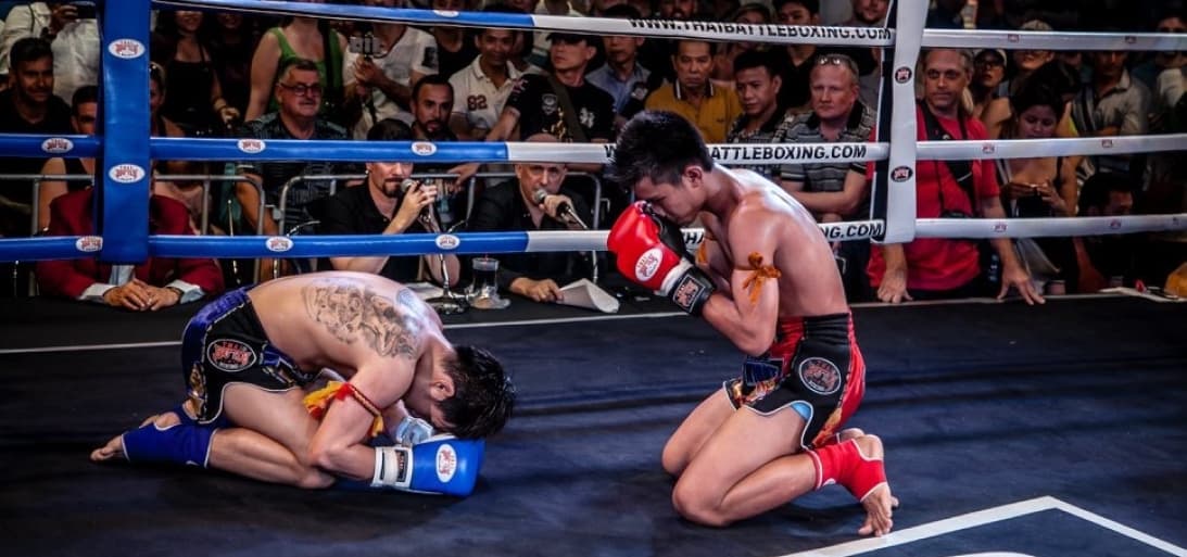 Main image of WOLF MUAY THAI GYM-VIET NAM