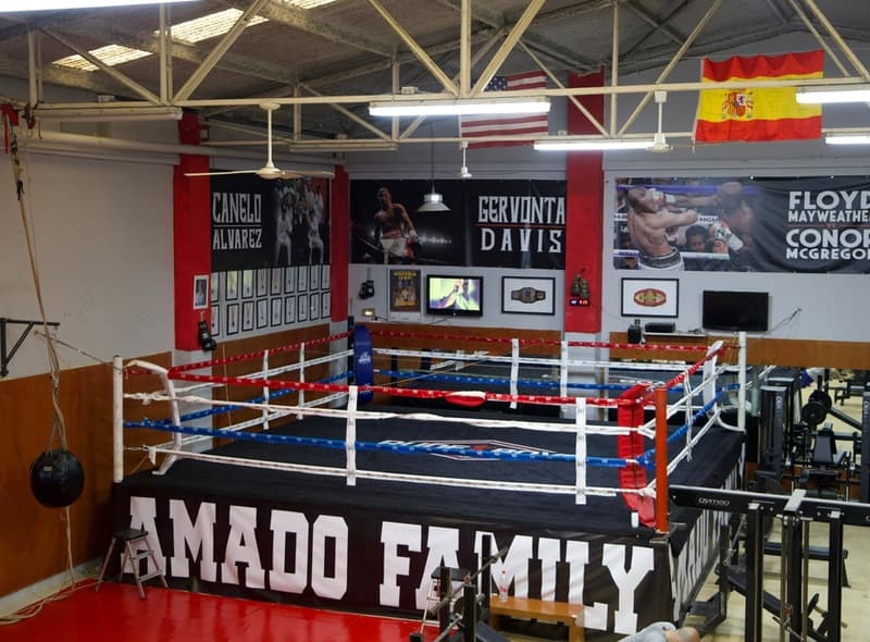 Main image of Club Boxeo amado family