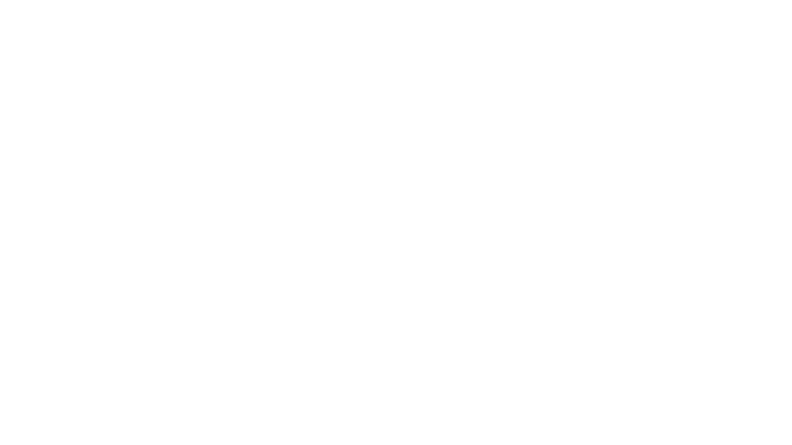 MAXIMUS BOXING CLUB logo