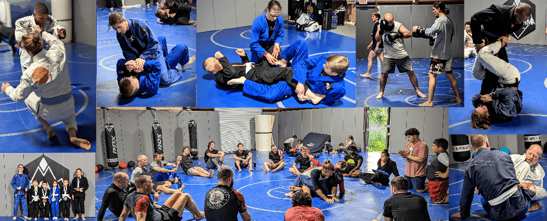 Main image of Apex MMA Covington