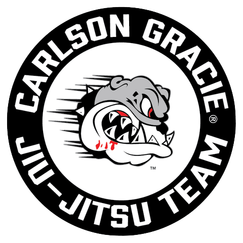Sandro Sampaio Brazilian Jiu-Jitsu Academy logo