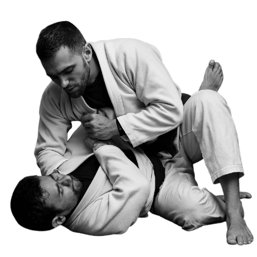 Hakui Jiu Jitsu logo