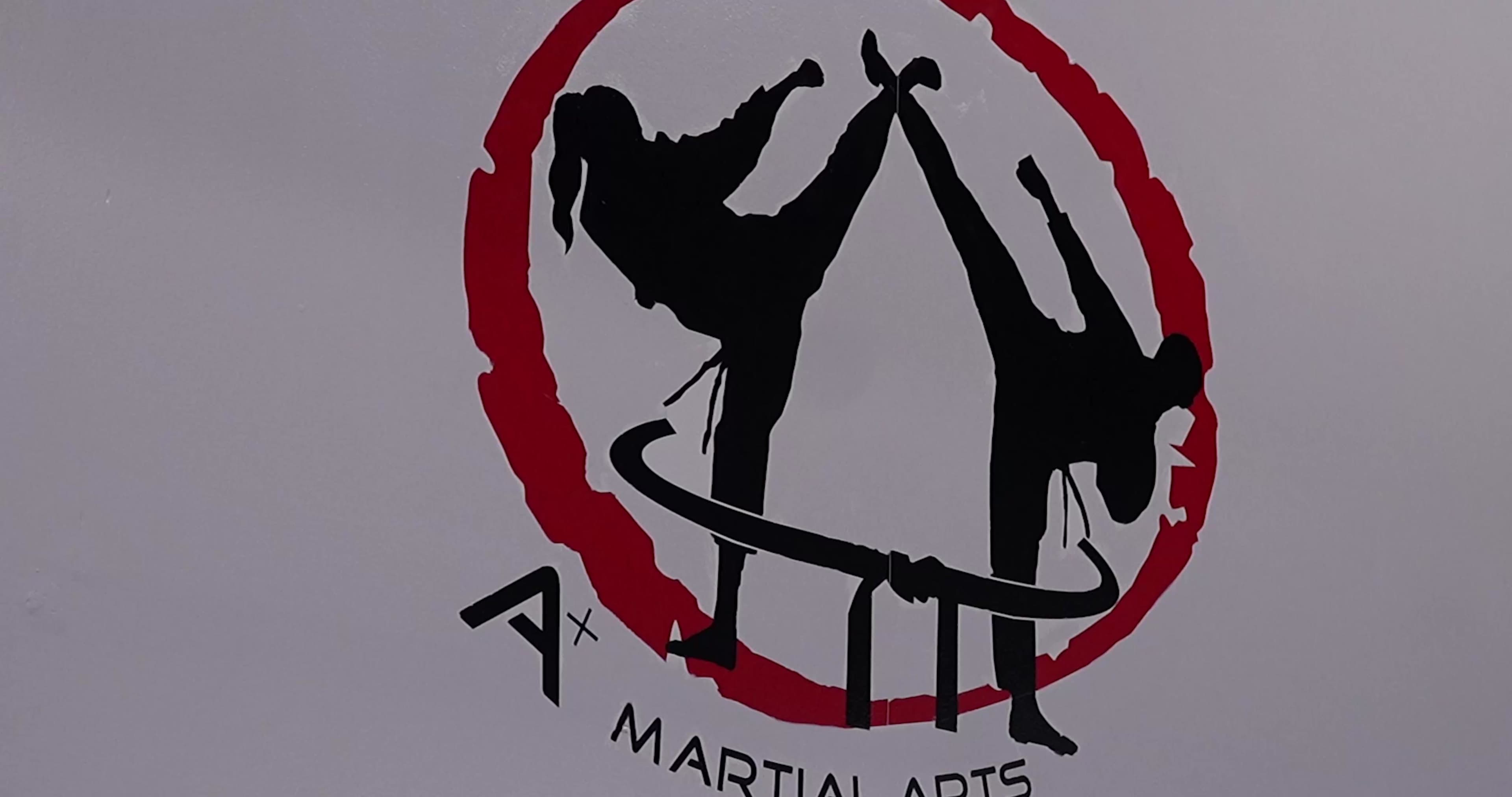 Main image of A+ Martial Arts