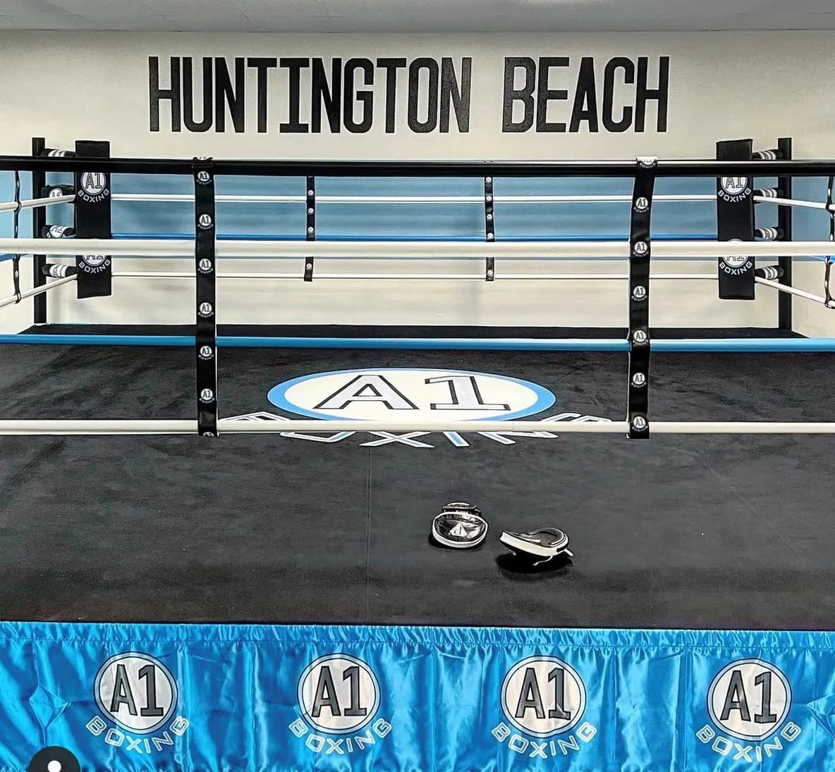 Main image of A1 Boxing Club