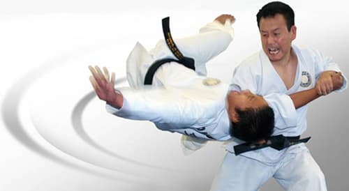 Academy of Hapkido Taekwondo Corona logo