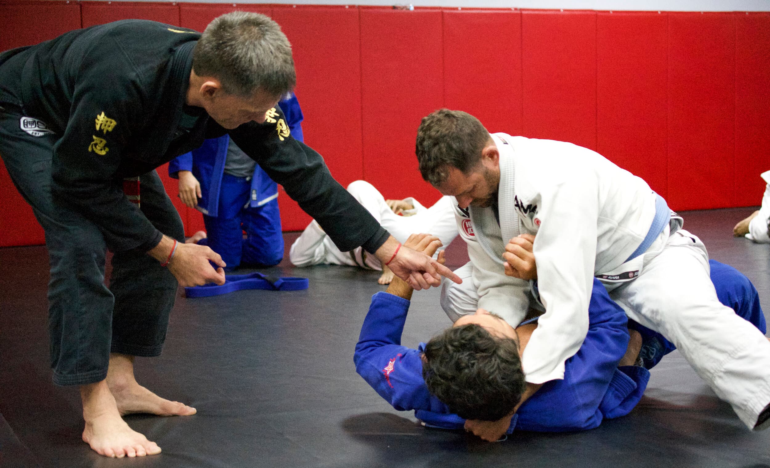 Main image of Ace Jiu Jitsu LLC