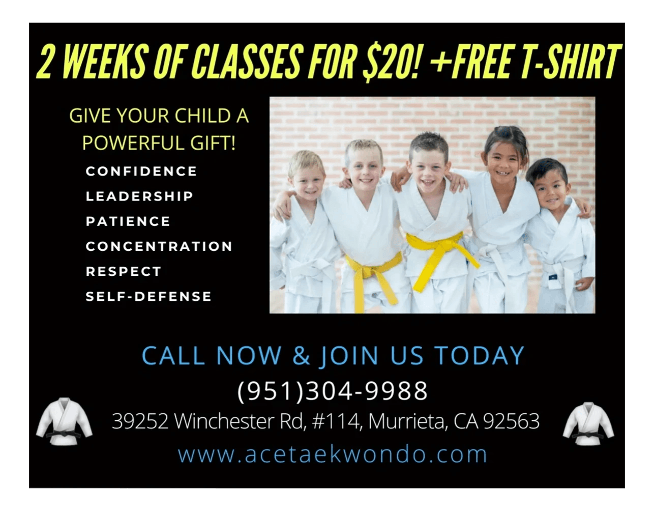 Main image of ACE Tae Kwon Do Academy