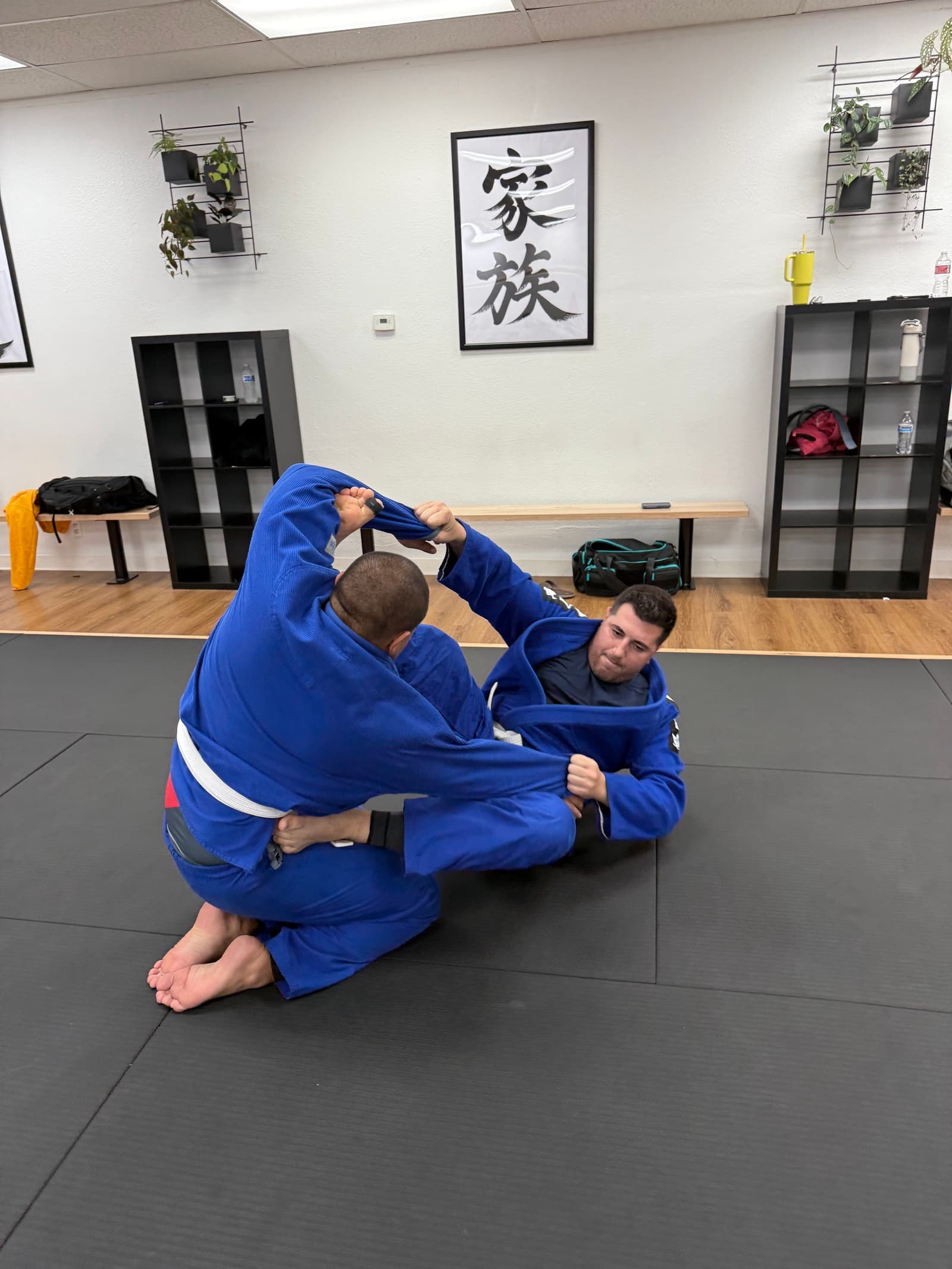 Adayama Jiu-Jitsu logo