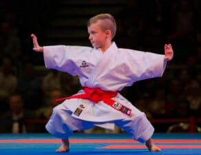 Main image of Aguiar Karate Dojo