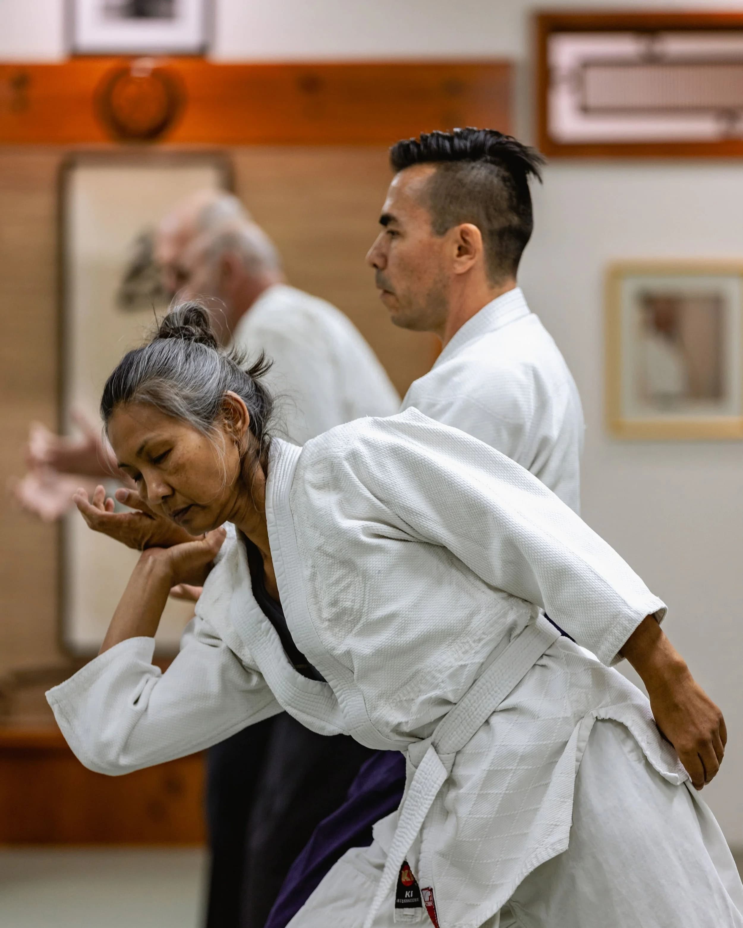 Main image of Aikido Daiwa