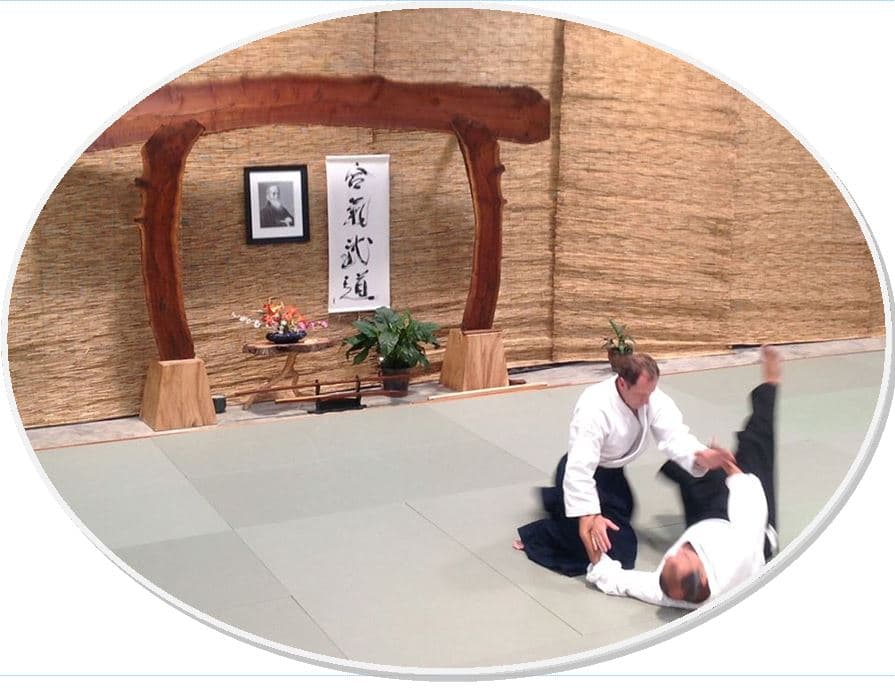 Main image of Aikido & Healing Arts Center of Roseville