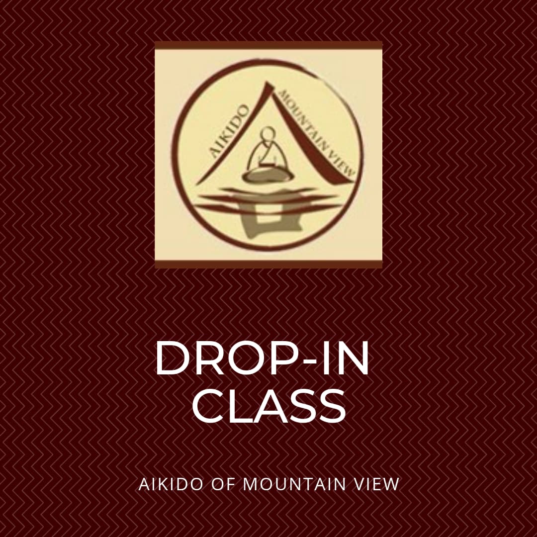 Main image of Aikido of Mountain View