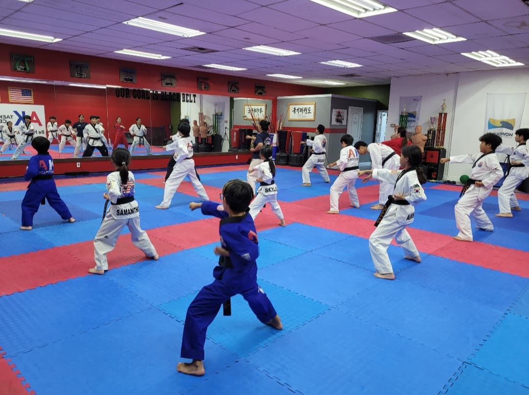 AK Taekwondo Center logo
