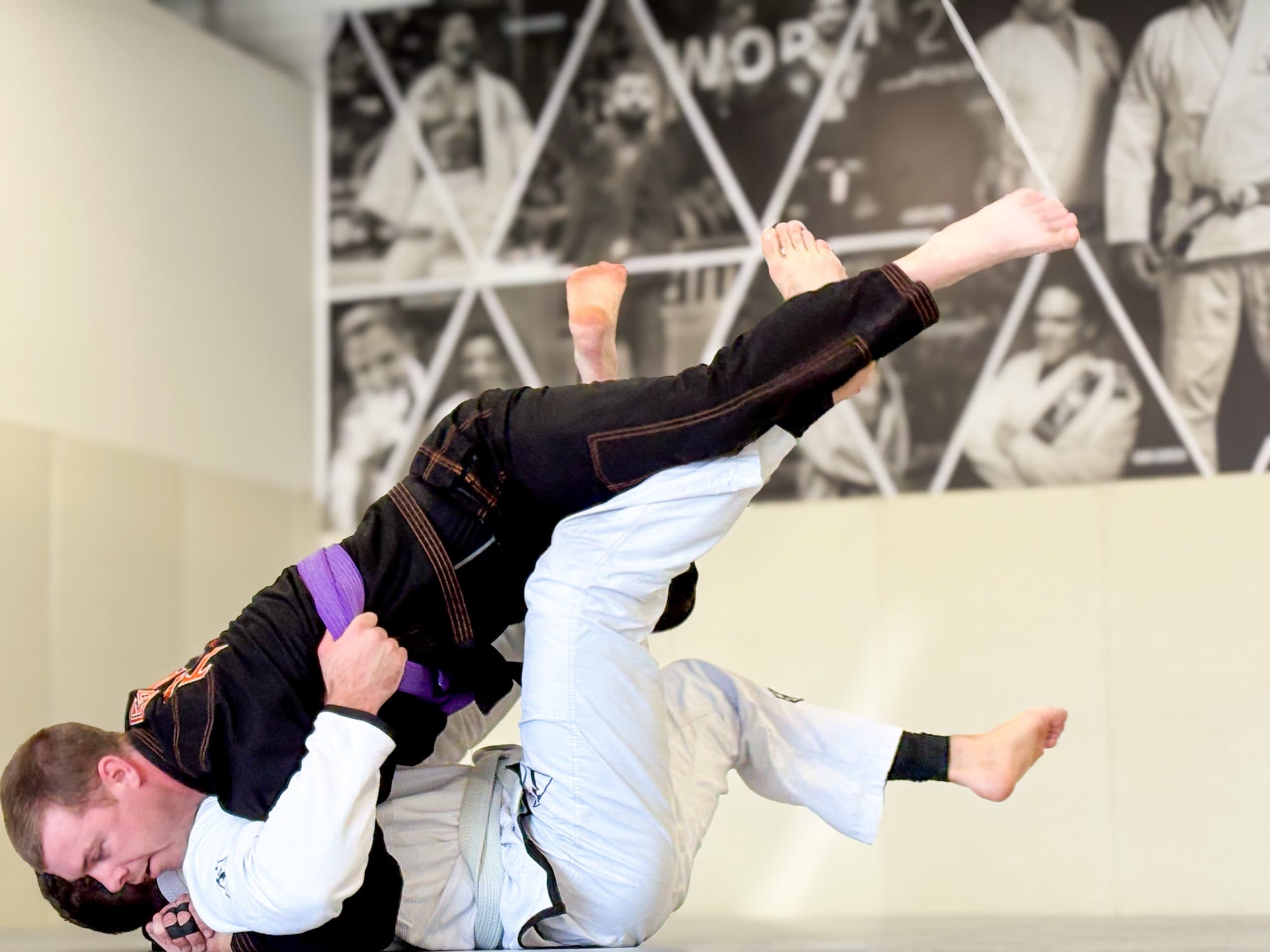 Main image of Alliance BJJ Houston - Houston