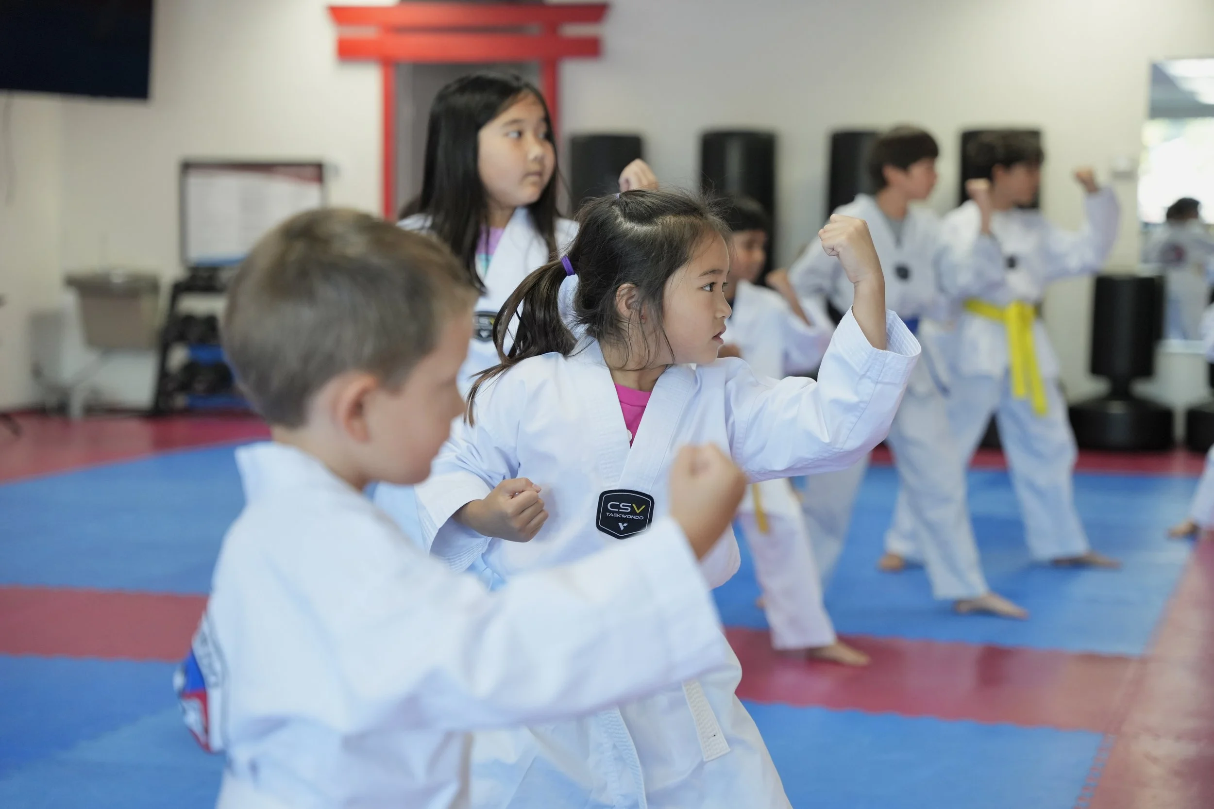 Main image of Almaden TaeKwonDo