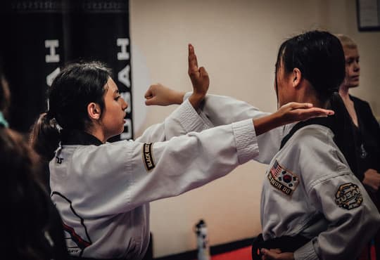 ALPHA MARTIAL ARTS TAEKWONDO logo