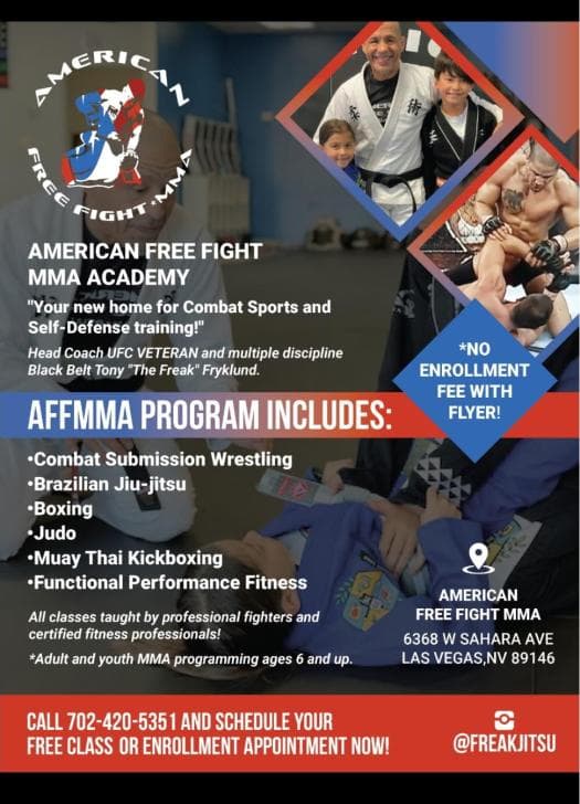 American Freefight MMA logo