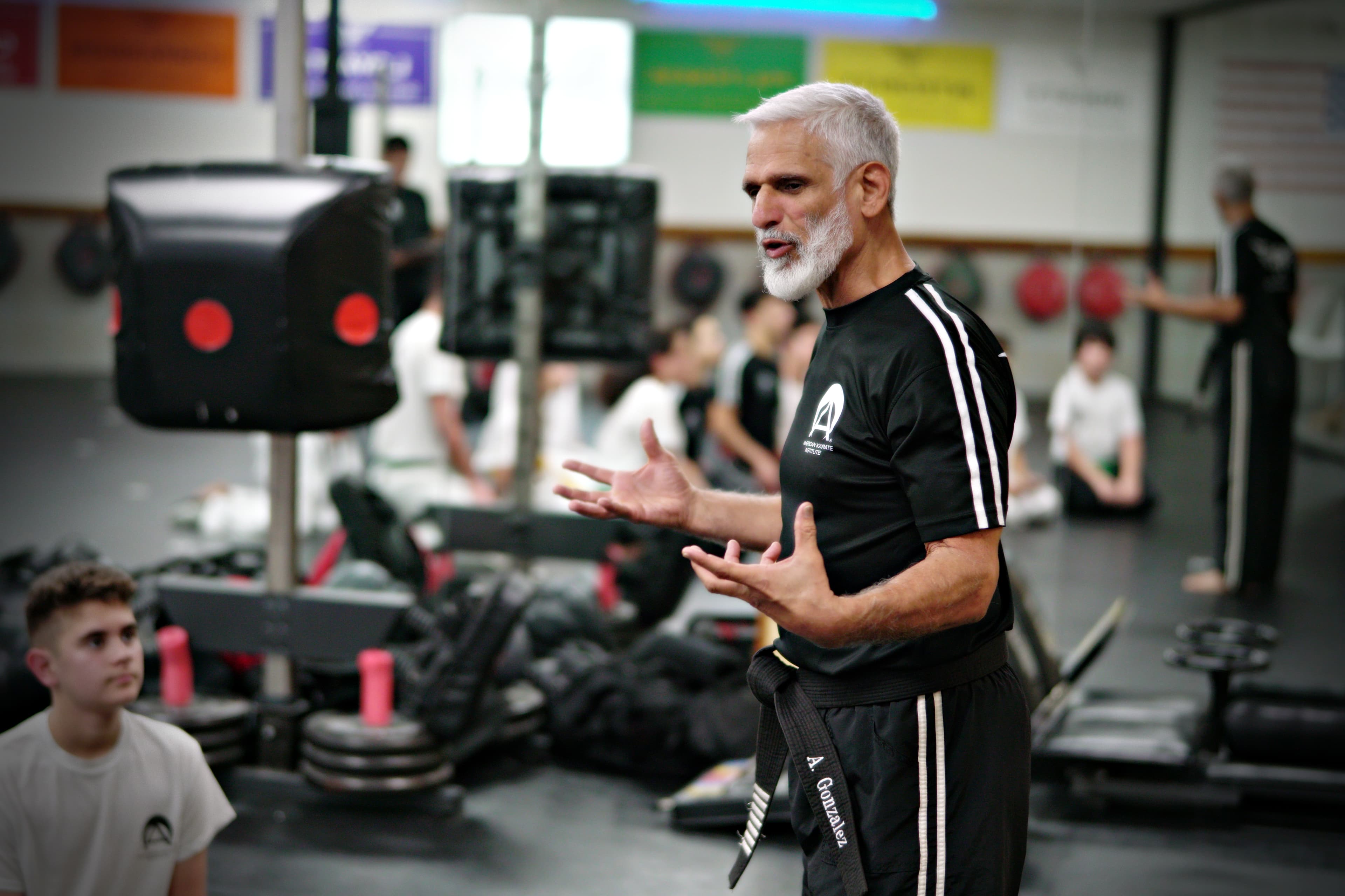 Main image of American Karate Institute