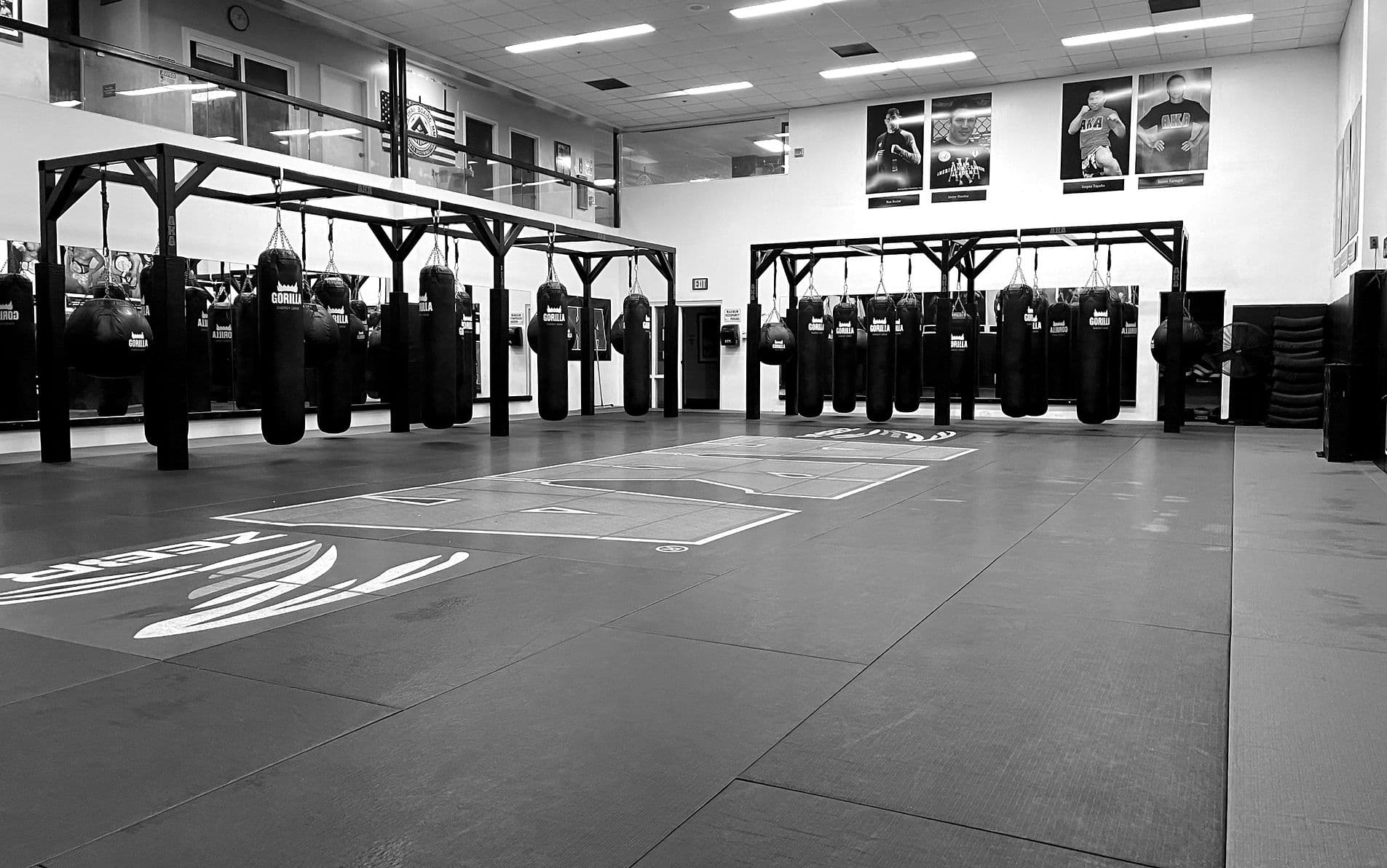 Main image of American Kickboxing Academy