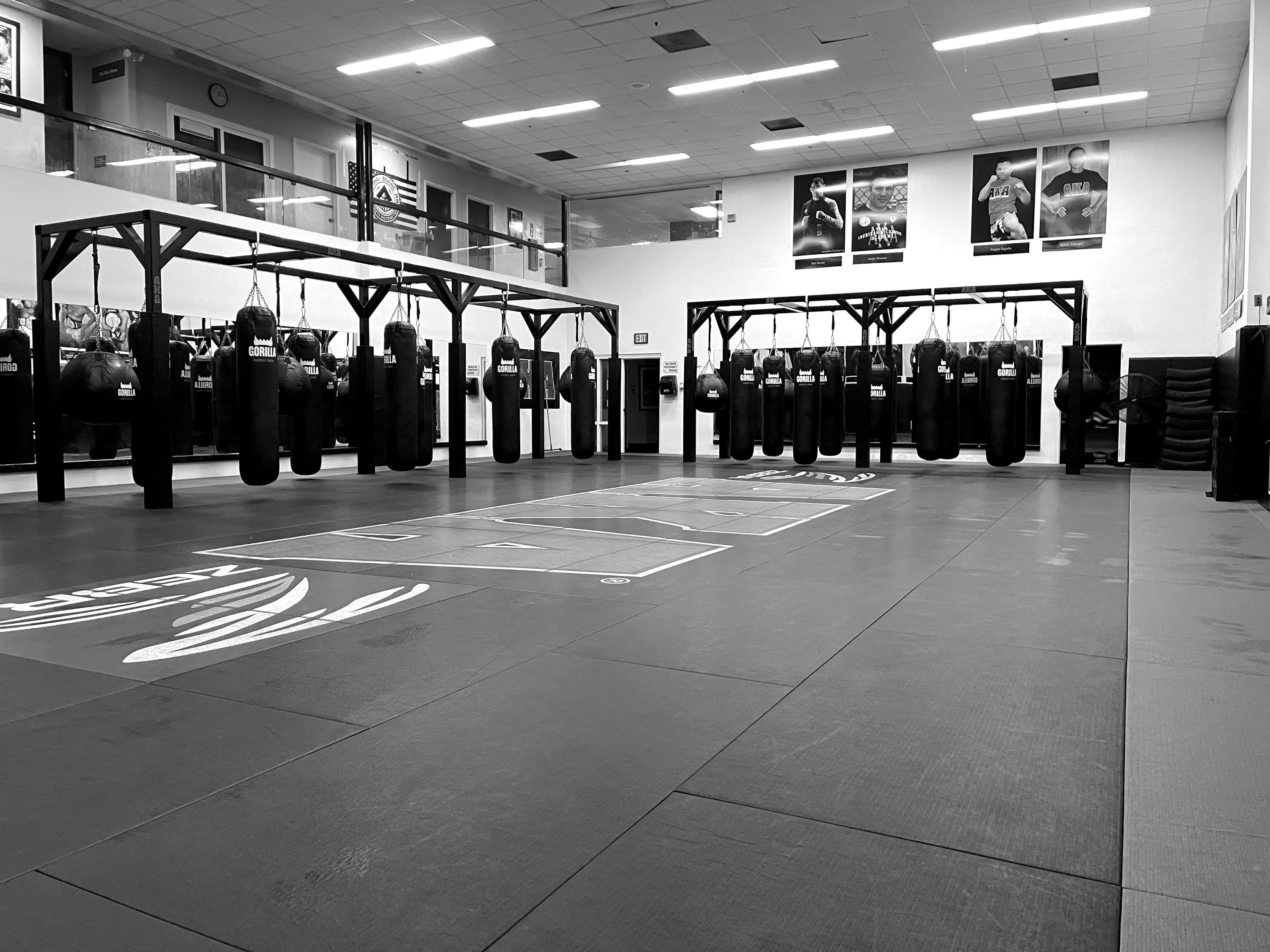 Main image of American Kickboxing Academy