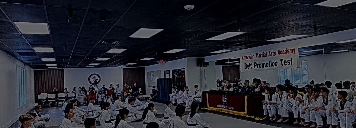 Main image of American Martial Arts Academy