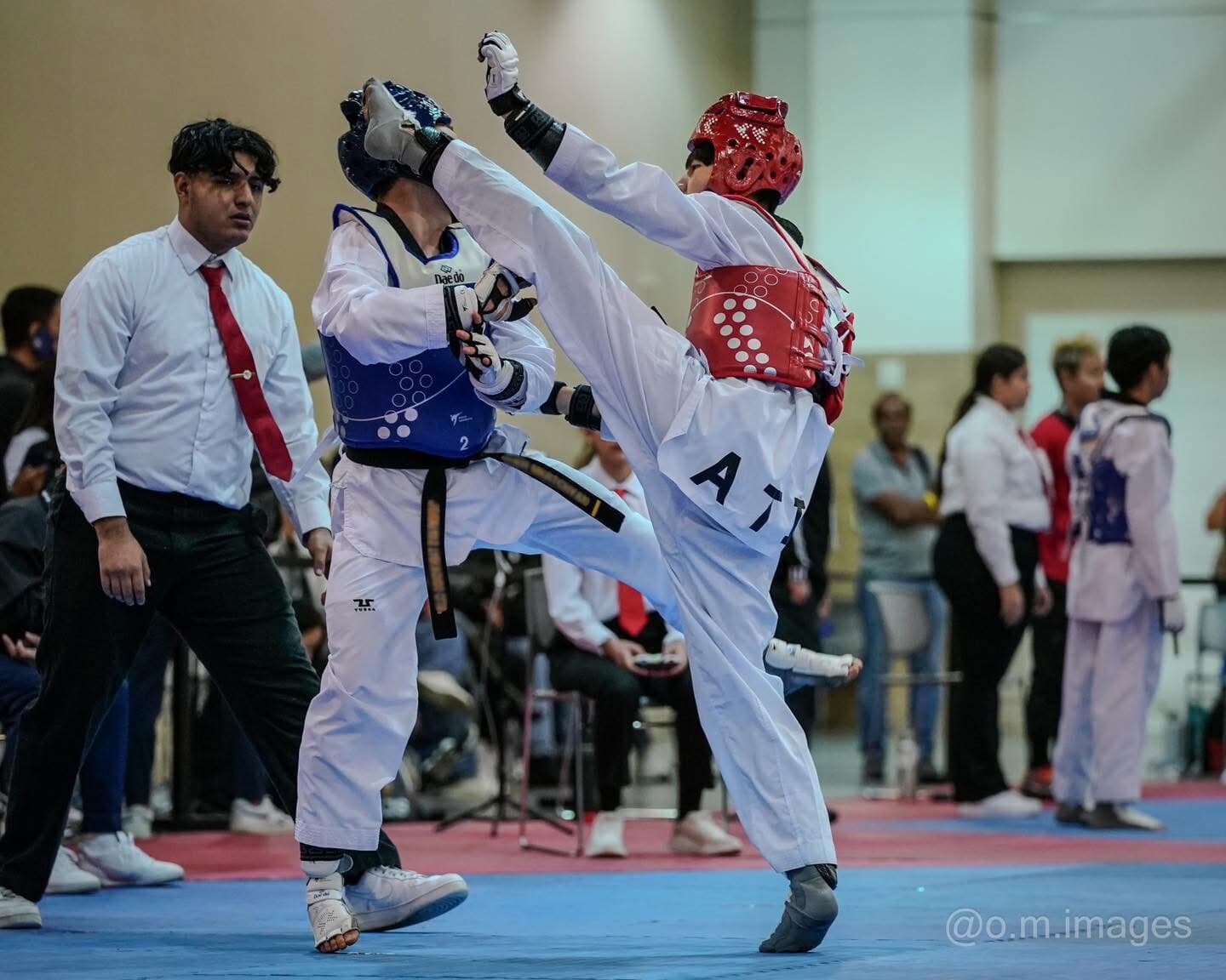 American Tigers Taekwondo logo