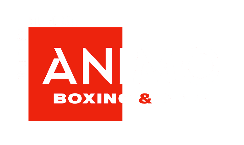 ANIMO Boxing & Mixed Martial Arts Gym logo
