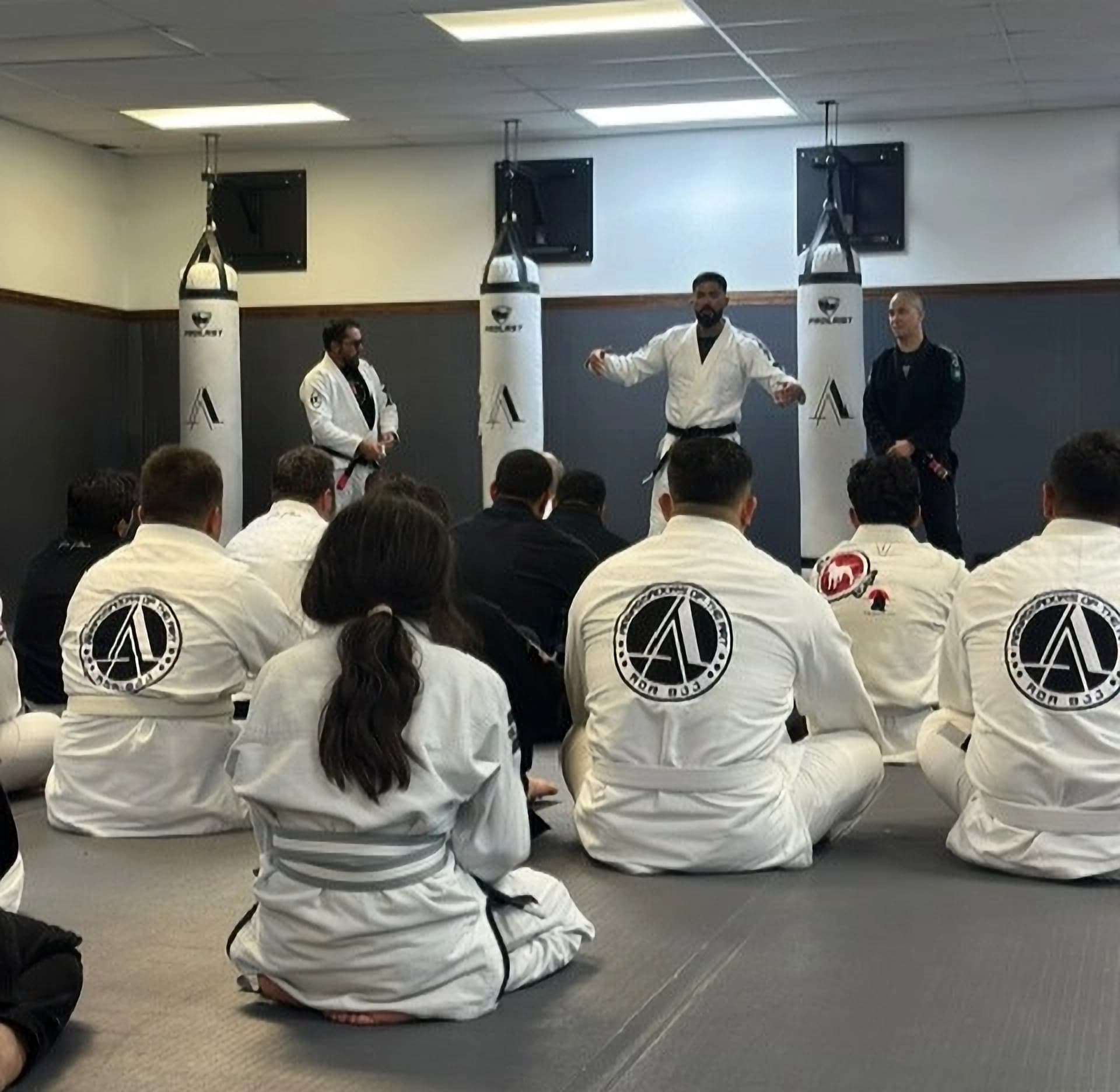 AOA BJJ Academy logo