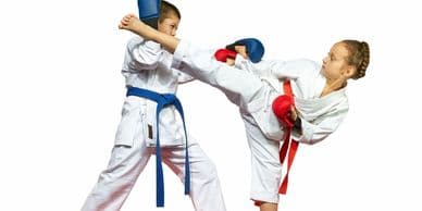 Main image of Apex Martial Arts Academy