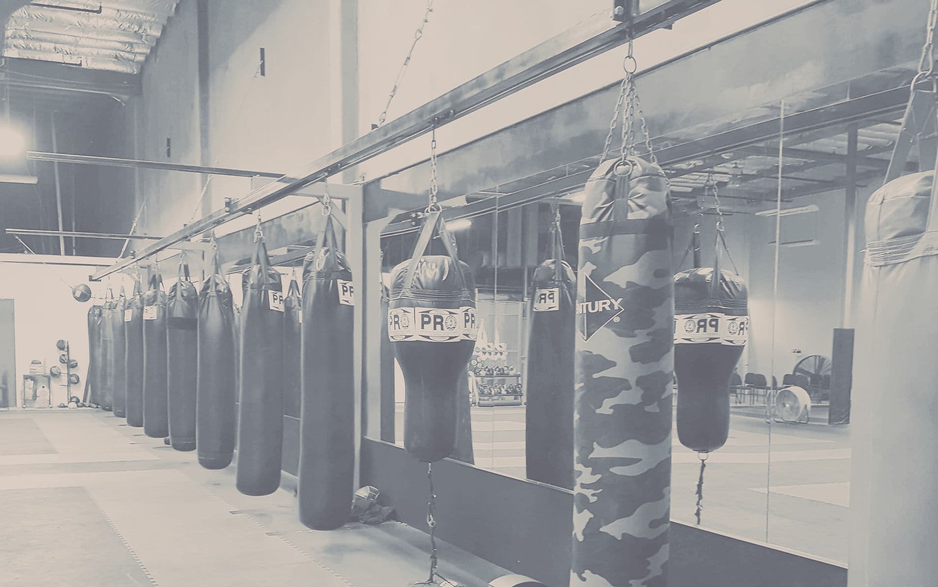 Main image of Arena BJJ Livermore