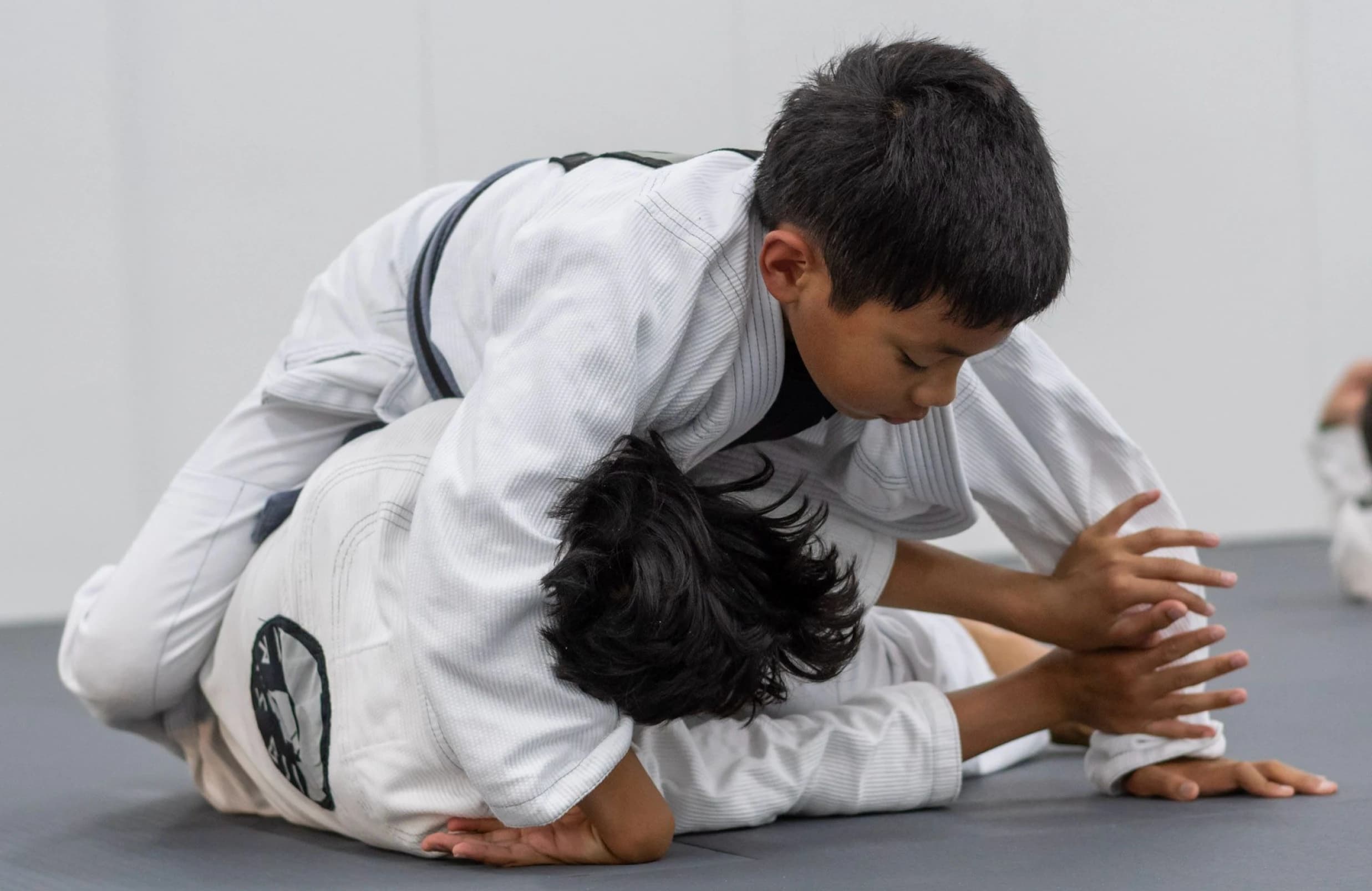Main image of Ares Brazilian Jiu Jitsu Lathrop
