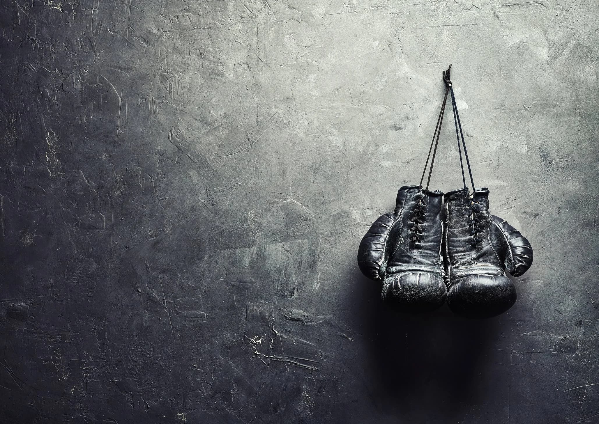 Main image of Artist Boxing Gym & Fitness