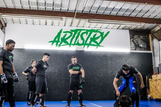 Main image of Artistry BJJ