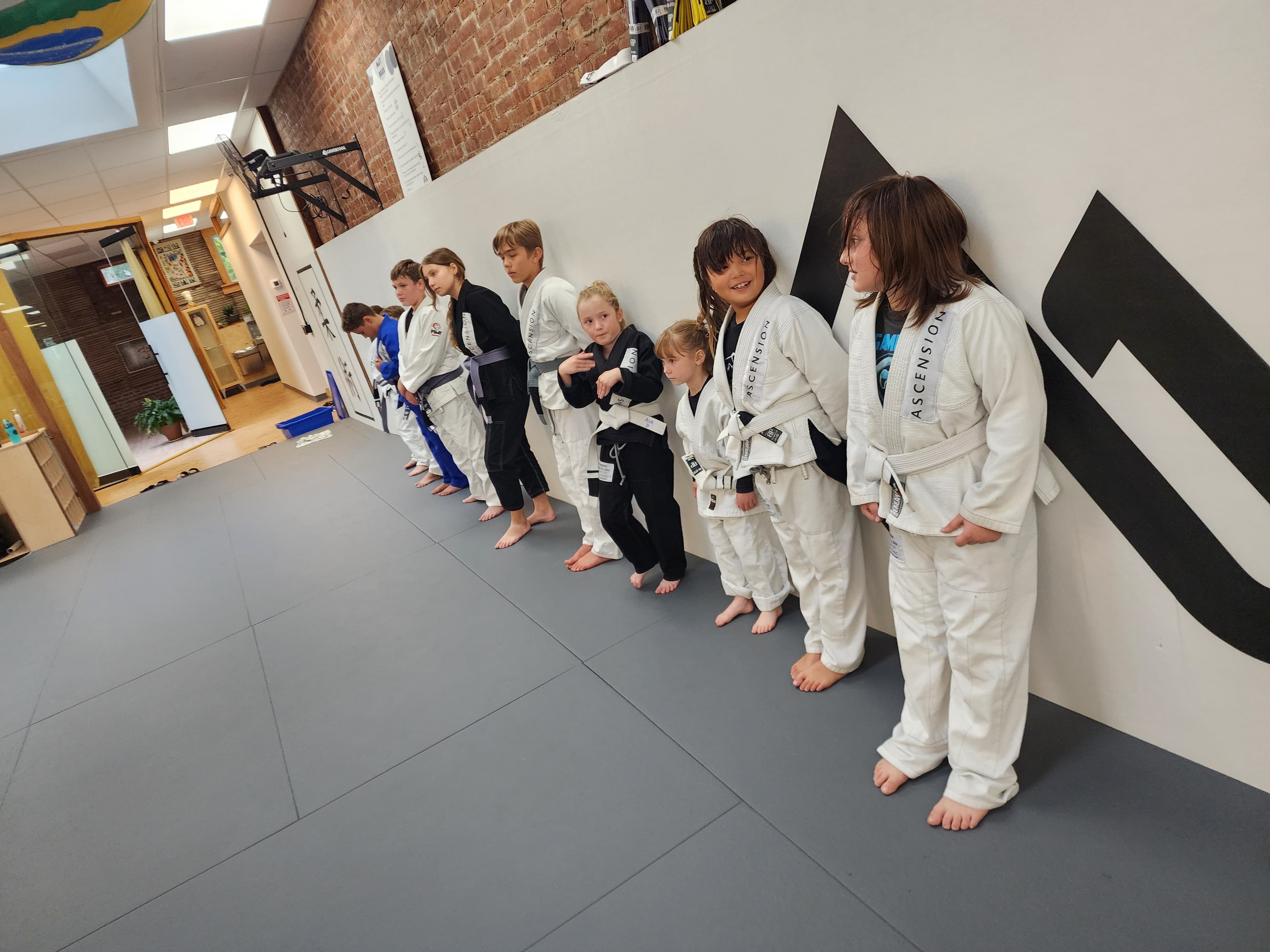 Main image of Ascended Brazilian Jiu-Jitsu & Yoga