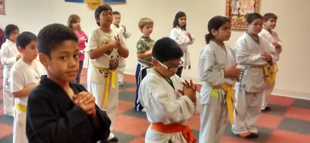 Main image of Austin Texas Martial Arts Centers