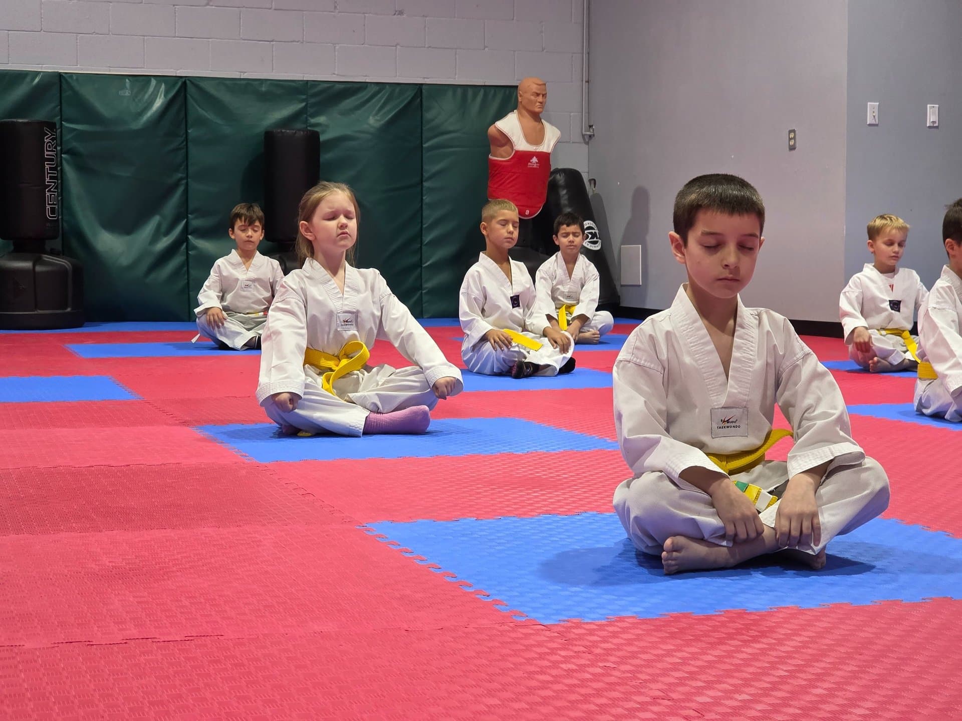 Barrie Taekwondo Club logo