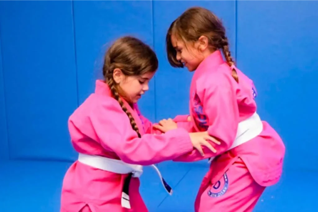 Main image of BD Brazilian Jiu Jitsu Academy