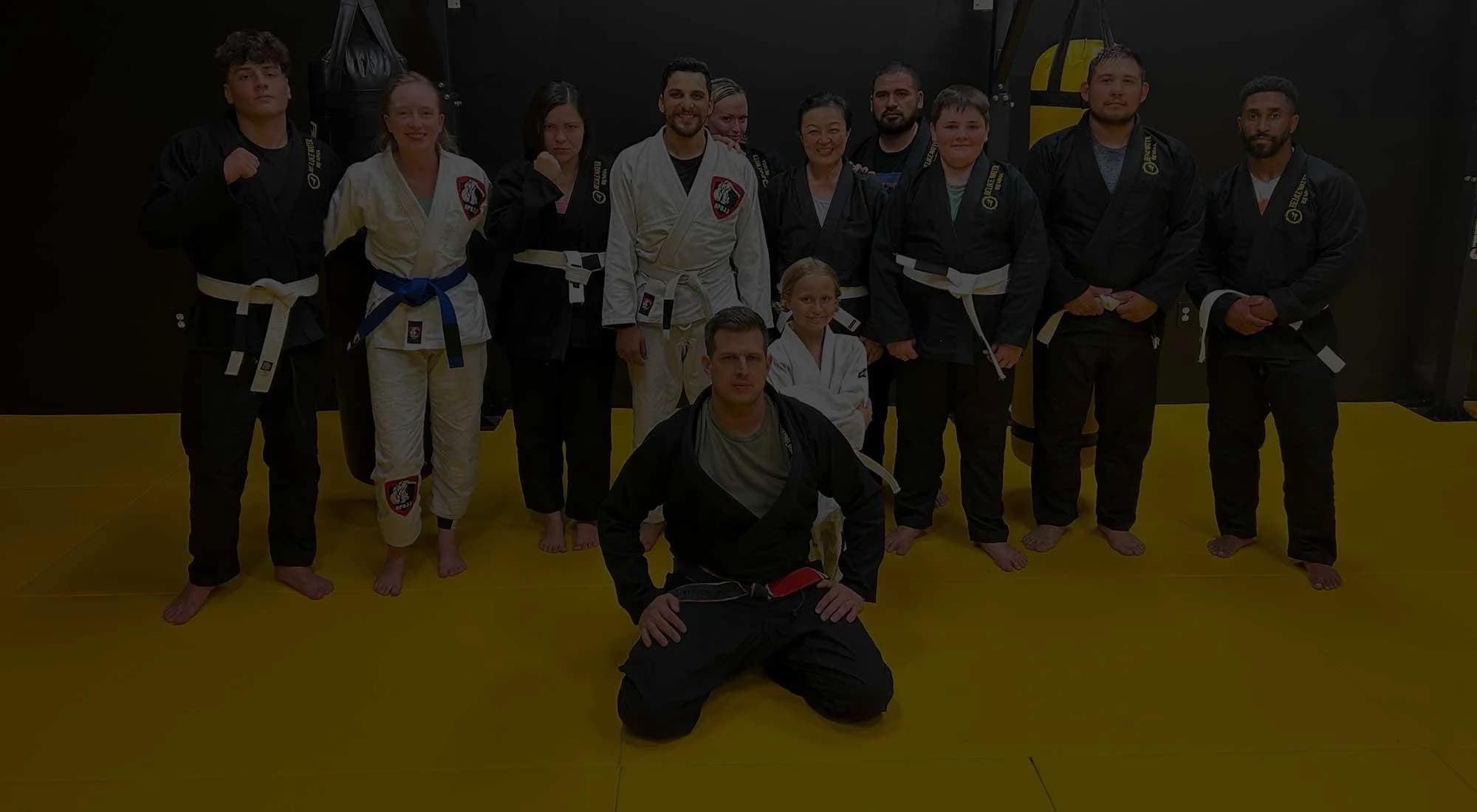 Be Like Water BJJ | MMA logo