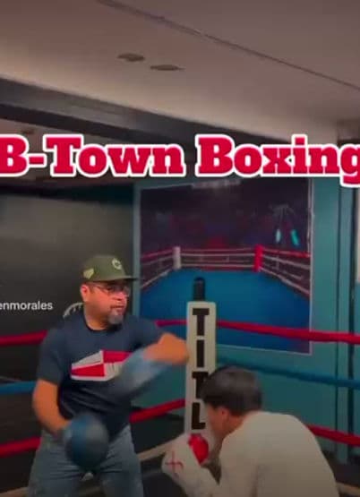 Belvidere Boxing logo