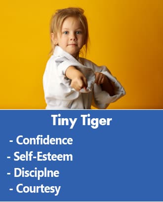 Main image of BEST TAEKWONDO ACADEMY