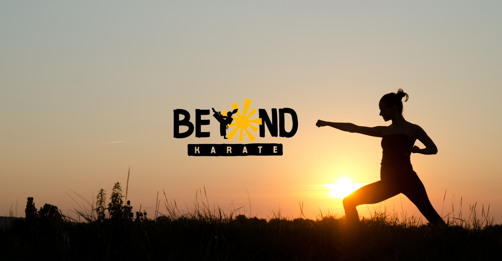 Main image of Beyond Karate