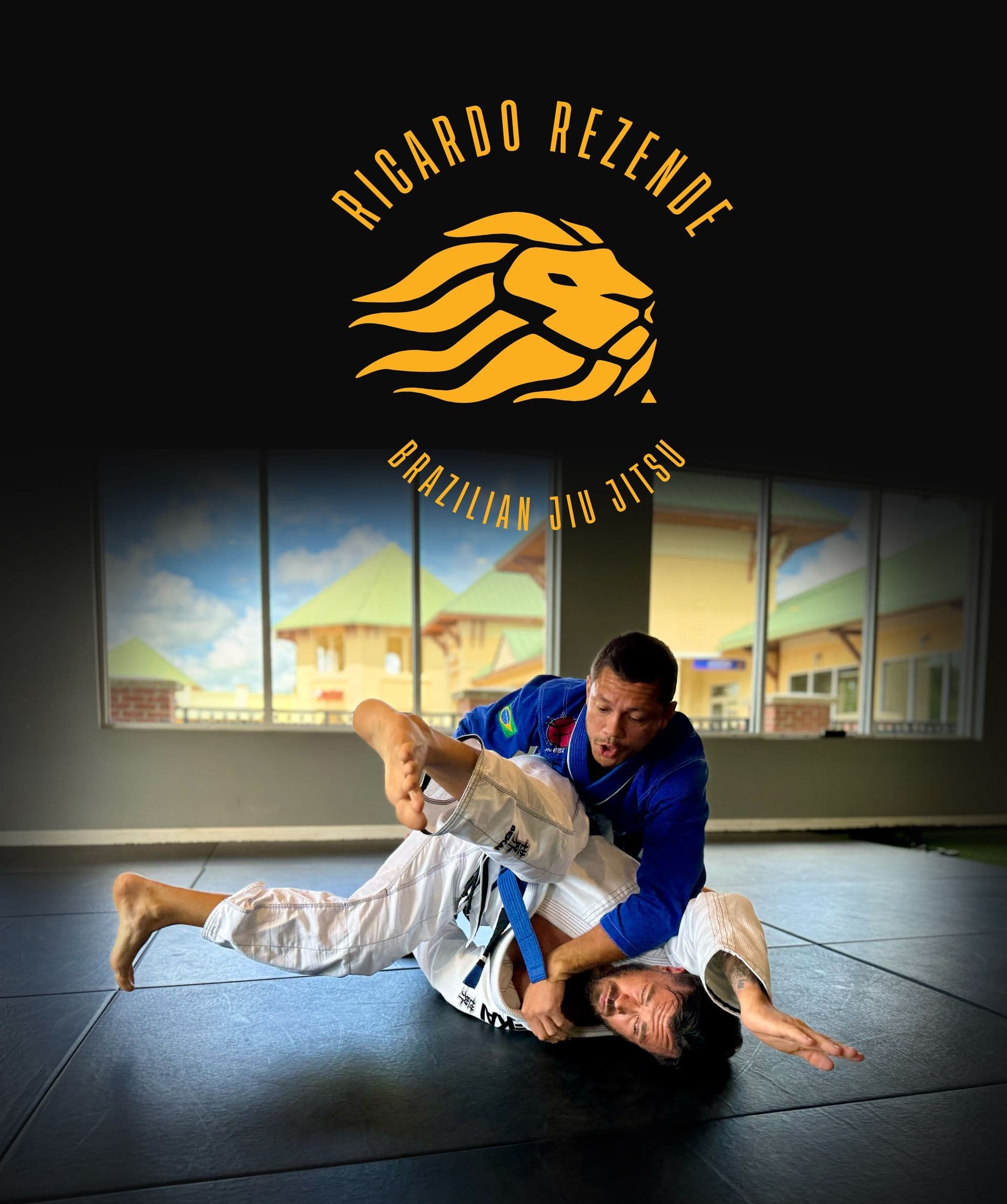 Main image of BJJ