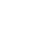 Black Wolf Jiu Jitsu logo