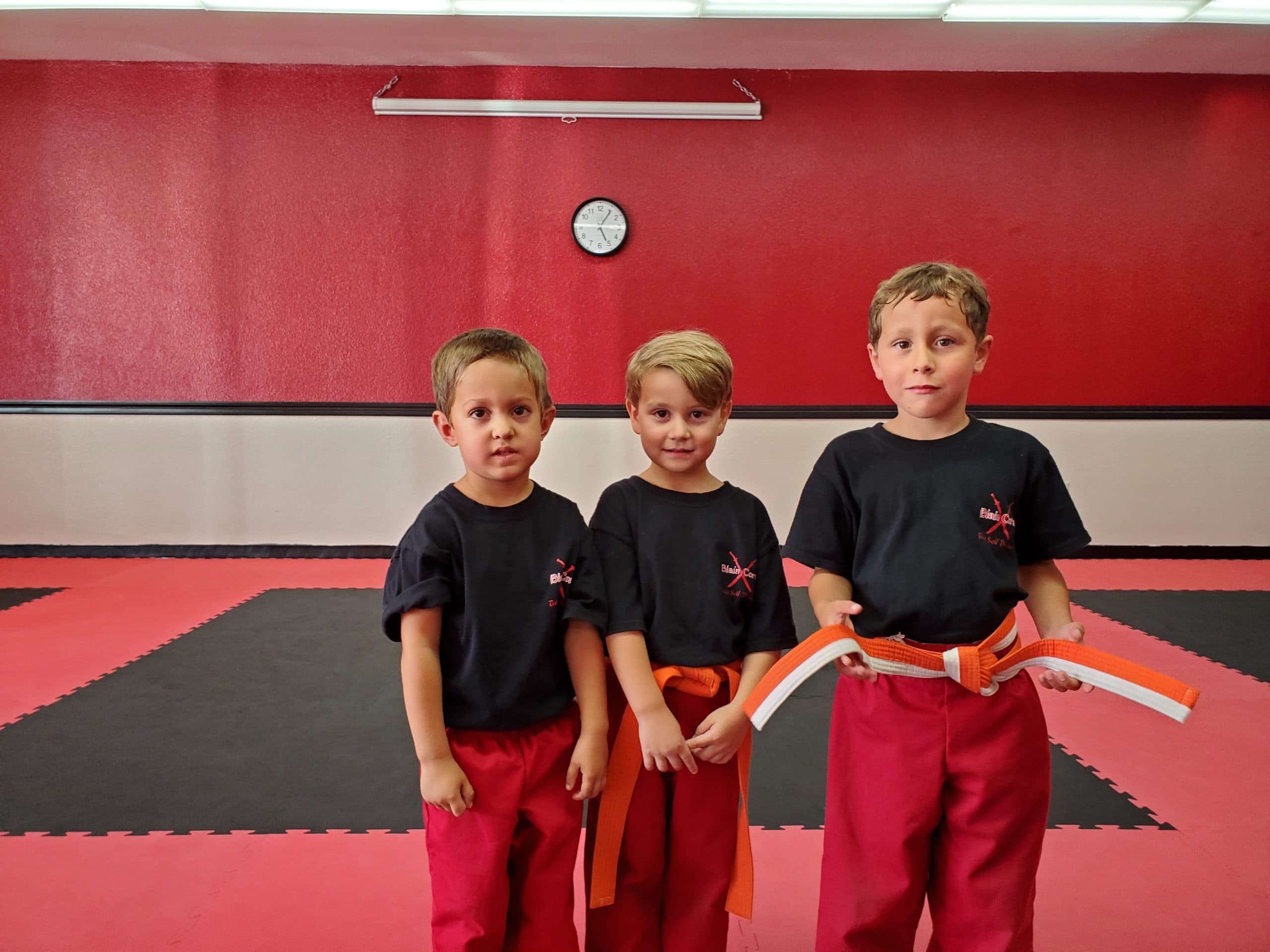Main image of Blain Cort's Total Self Defense