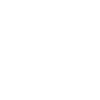 Border City Wrestling logo