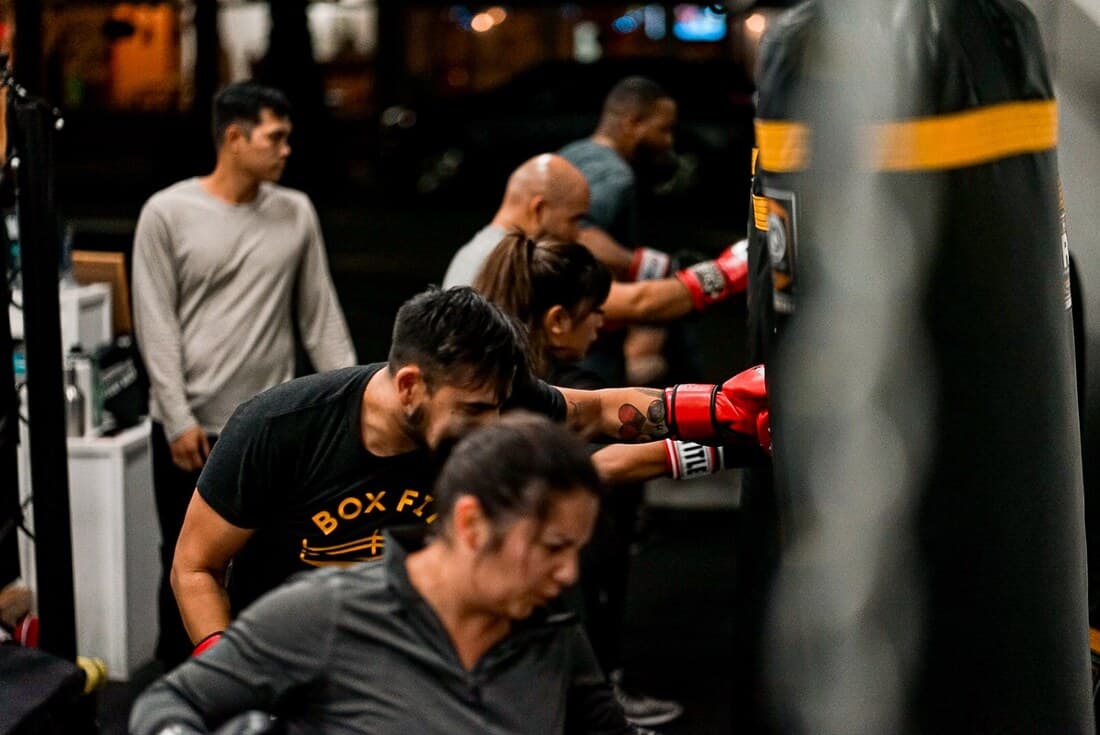 Main image of BoxFit